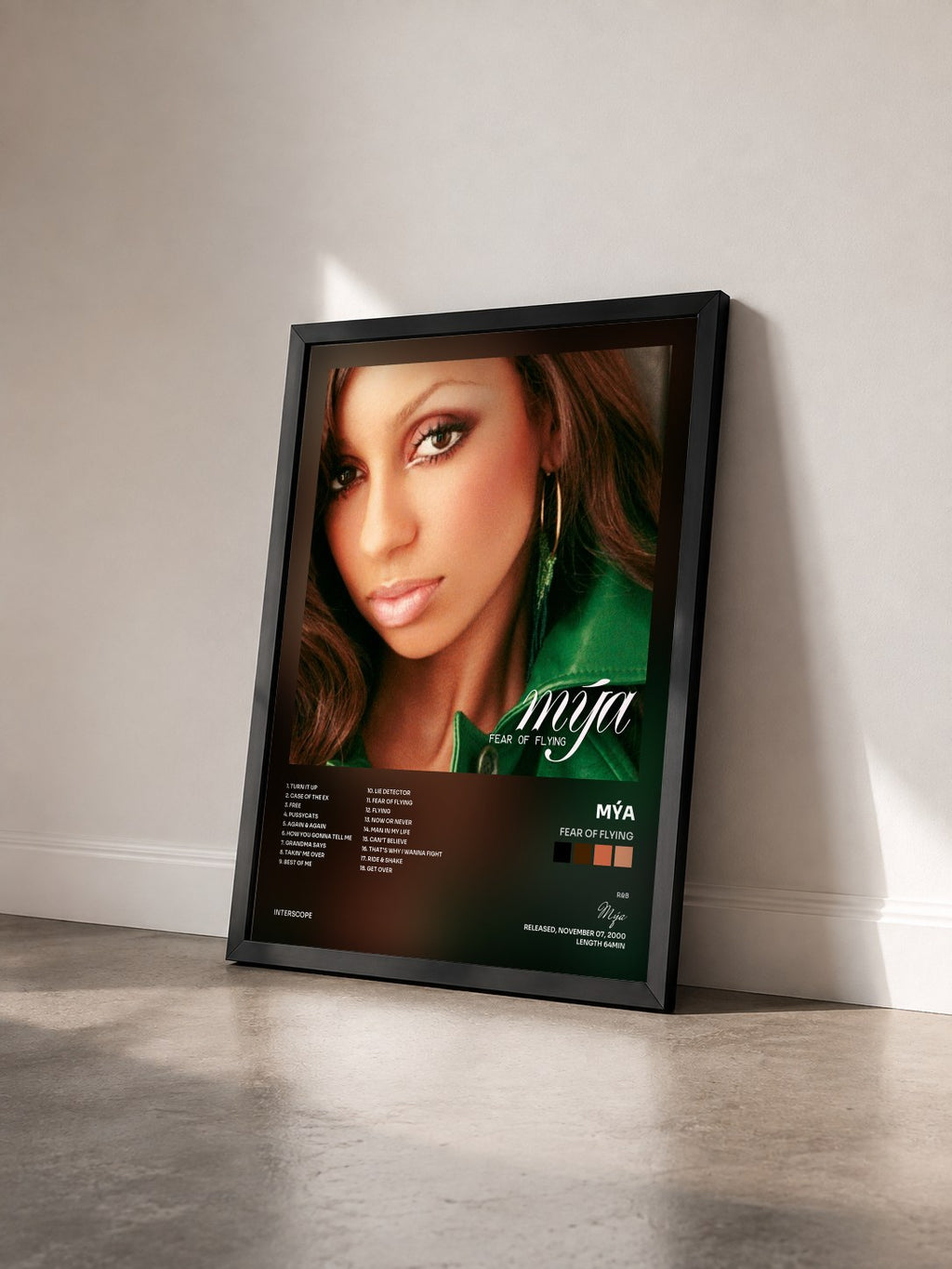 #noir Tableau de l'album Fear Of Flying de Mýa vu de trois quarts, cadre noir