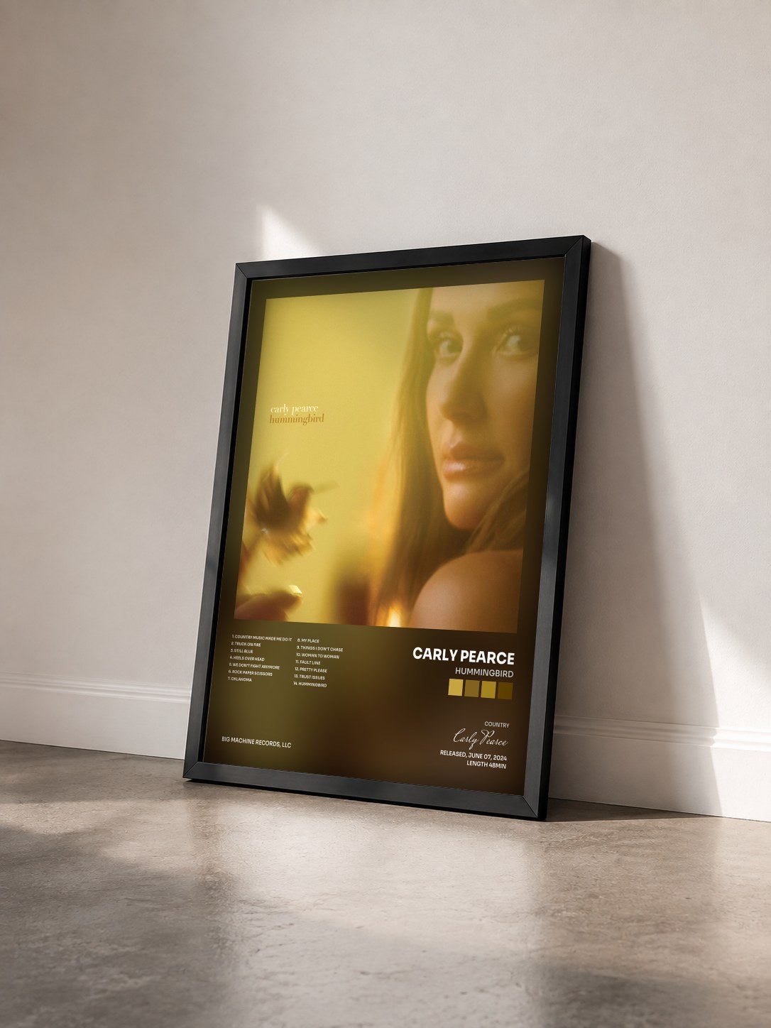 #noir Tableau de l'album hummingbird de Carly Pearce vu de trois quarts, cadre noir