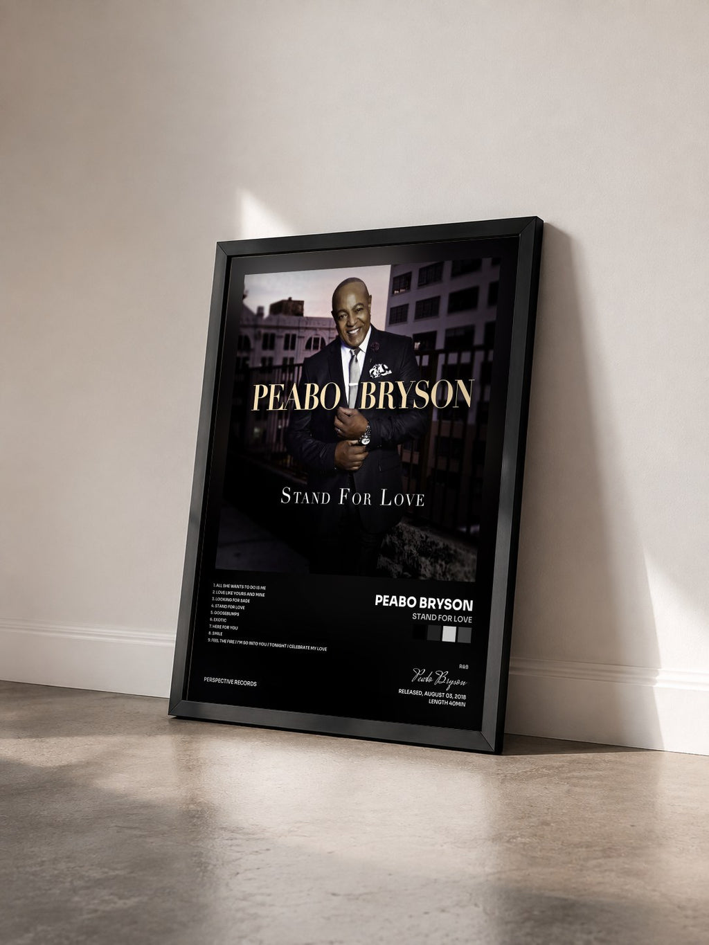 #noir Tableau de l'album Stand For Love de Peabo Bryson vu de trois quarts, cadre noir