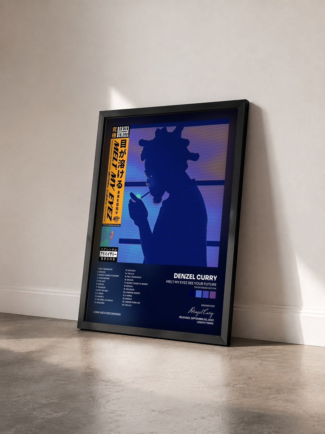 #noir Tableau de l'album Melt My Eyez See Your Future (The Extended Edition) de Denzel Curry vu de trois quarts, cadre noir