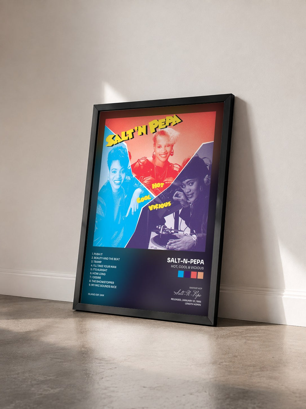 #noir Tableau de l'album Hot, Cool & Vicious de Salt-N-Pepa vu de trois quarts, cadre noir