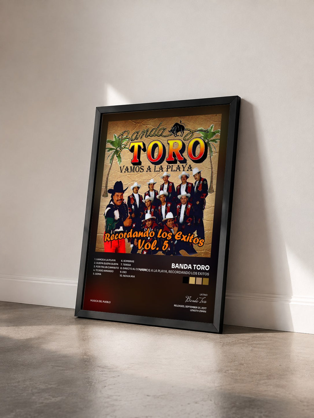 #noir Tableau de l'album Vamos a la Playa, Recordando los Exitos de Banda Toro vu de trois quarts, cadre noir