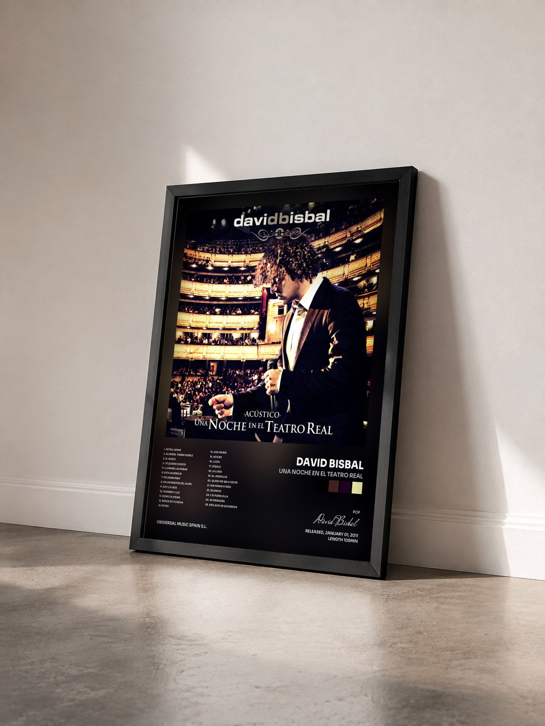 #noir Tableau de l'album Una Noche En El Teatro Real de David Bisbal vu de trois quarts, cadre noir