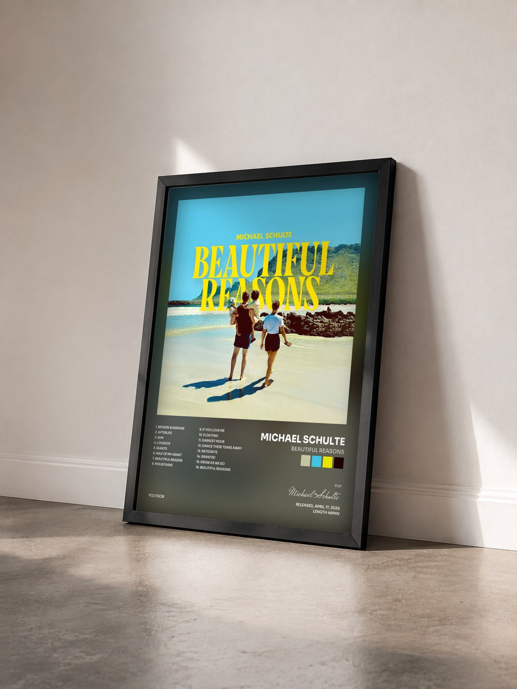 #noir Tableau de l'album Beautiful Reasons de Michael Schulte vu de trois quarts, cadre noir