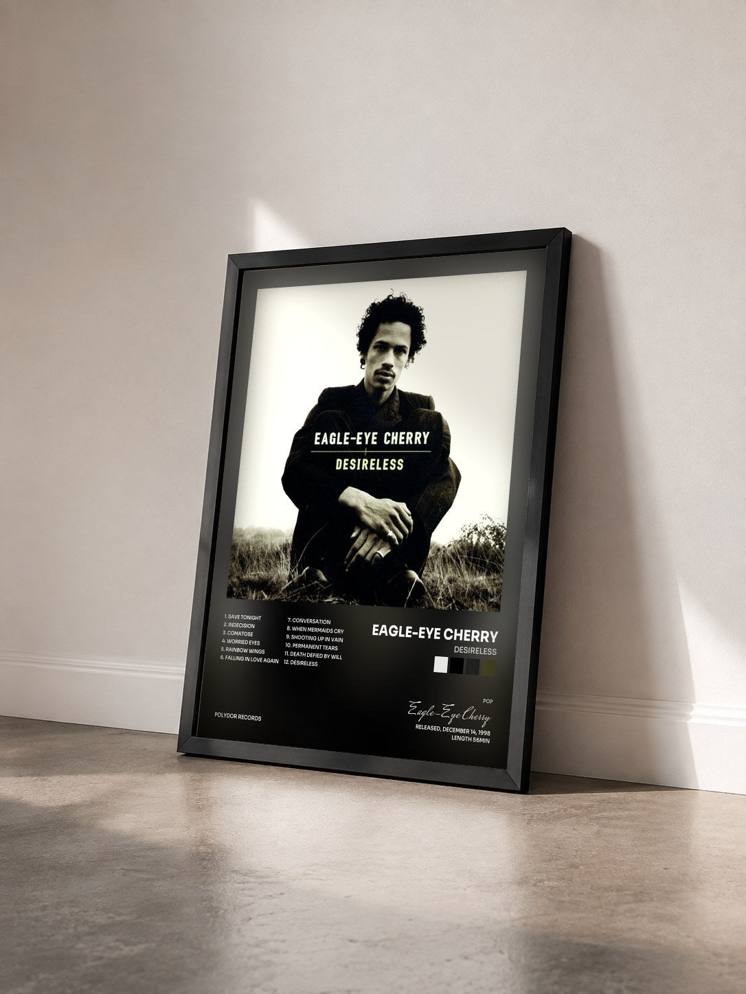 #noir Tableau de l'album Desireless de Eagle-Eye Cherry vu de trois quarts, cadre noir