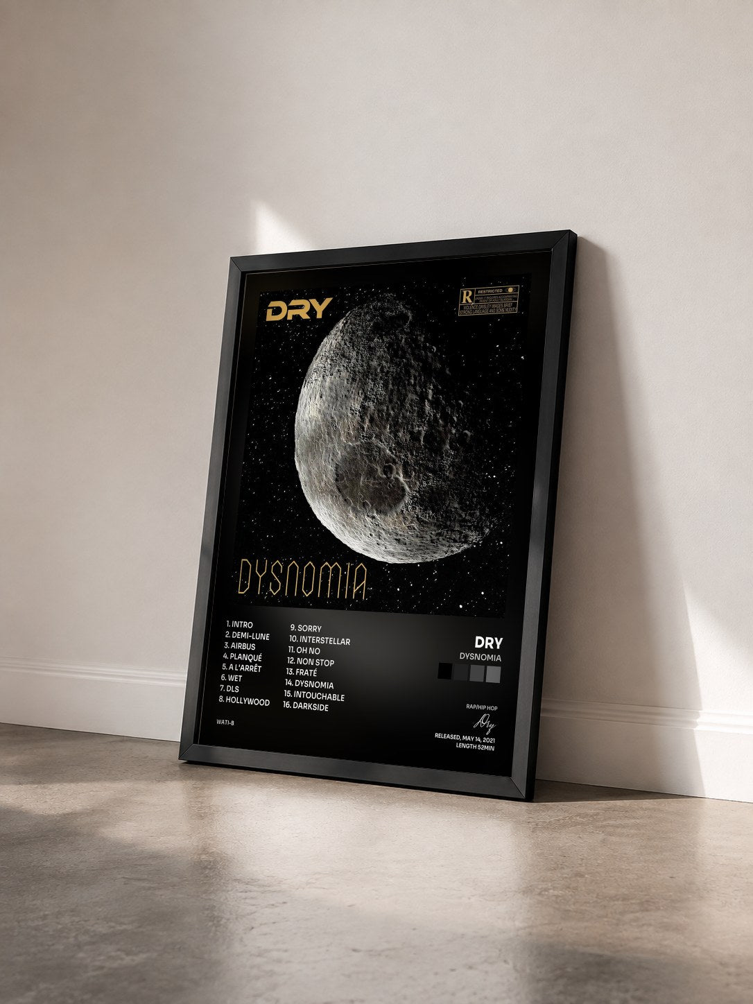 #noir Tableau de l'album Dysnomia de Dry vu de trois quarts, cadre noir