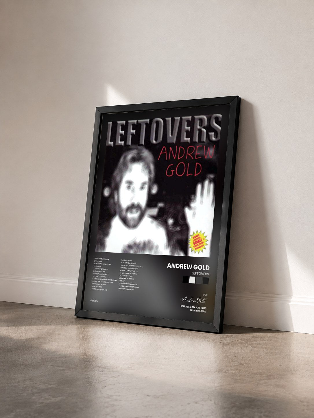 #noir Tableau de l'album Leftovers de Andrew Gold vu de trois quarts, cadre noir