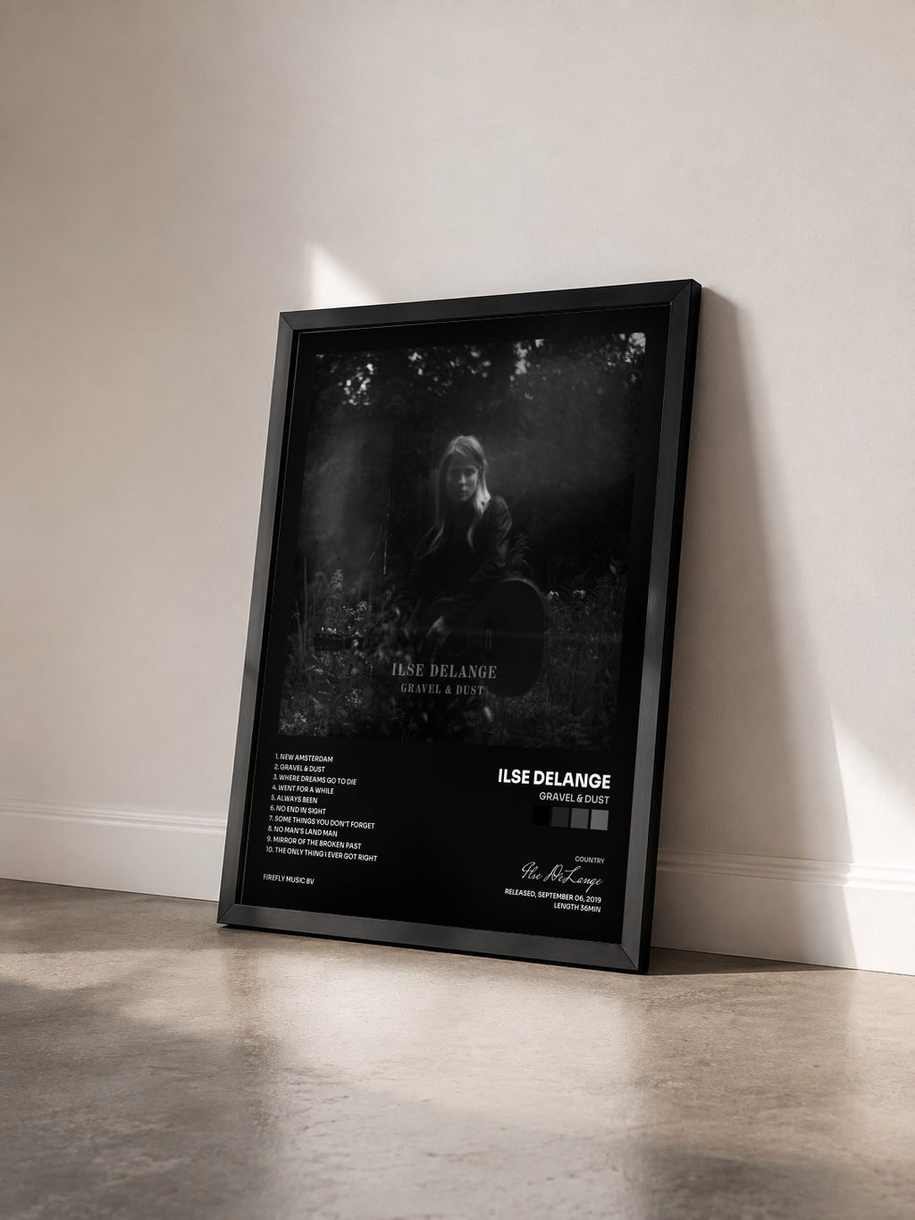 #noir Tableau de l'album Gravel & Dust de Ilse DeLange vu de trois quarts, cadre noir