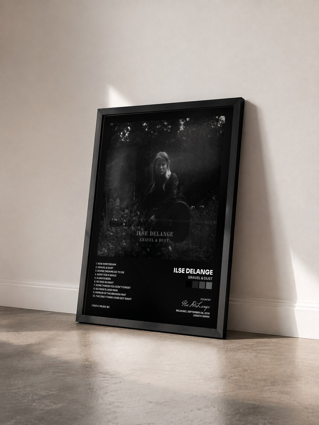 #noir Tableau de l'album Gravel & Dust de Ilse DeLange vu de trois quarts, cadre noir