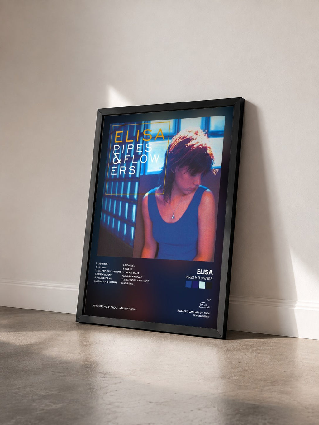 #noir Tableau de l'album Pipes & Flowers de Elisa vu de trois quarts, cadre noir
