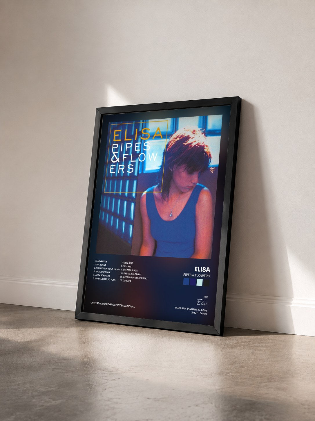 #noir Tableau de l'album Pipes & Flowers de Elisa vu de trois quarts, cadre noir