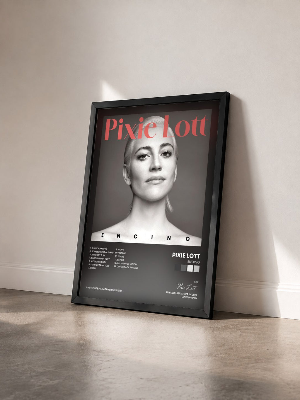 #noir Tableau de l'album Encino de Pixie Lott vu de trois quarts, cadre noir