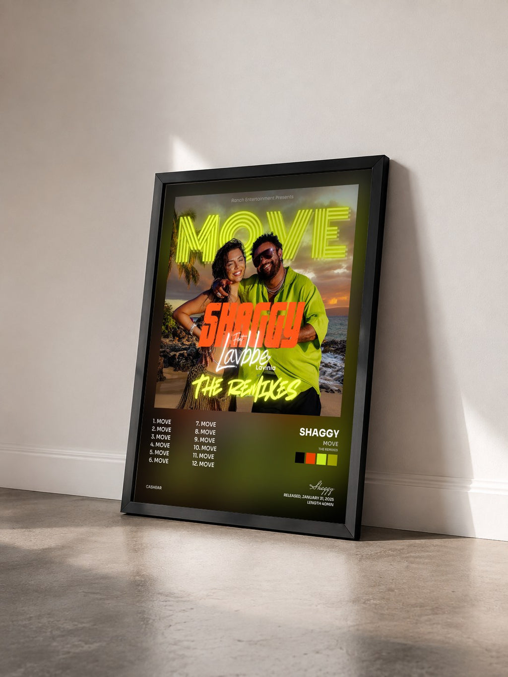 #noir Tableau de l'album MOVE (The Remixes) de Shaggy vu de trois quarts, cadre noir