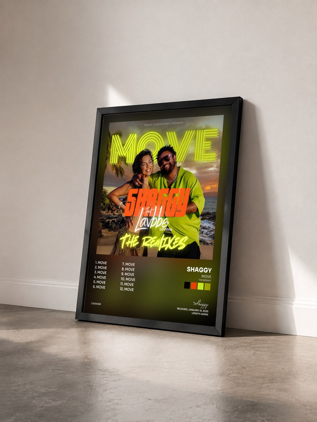#noir Tableau de l'album MOVE (The Remixes) de Shaggy vu de trois quarts, cadre noir