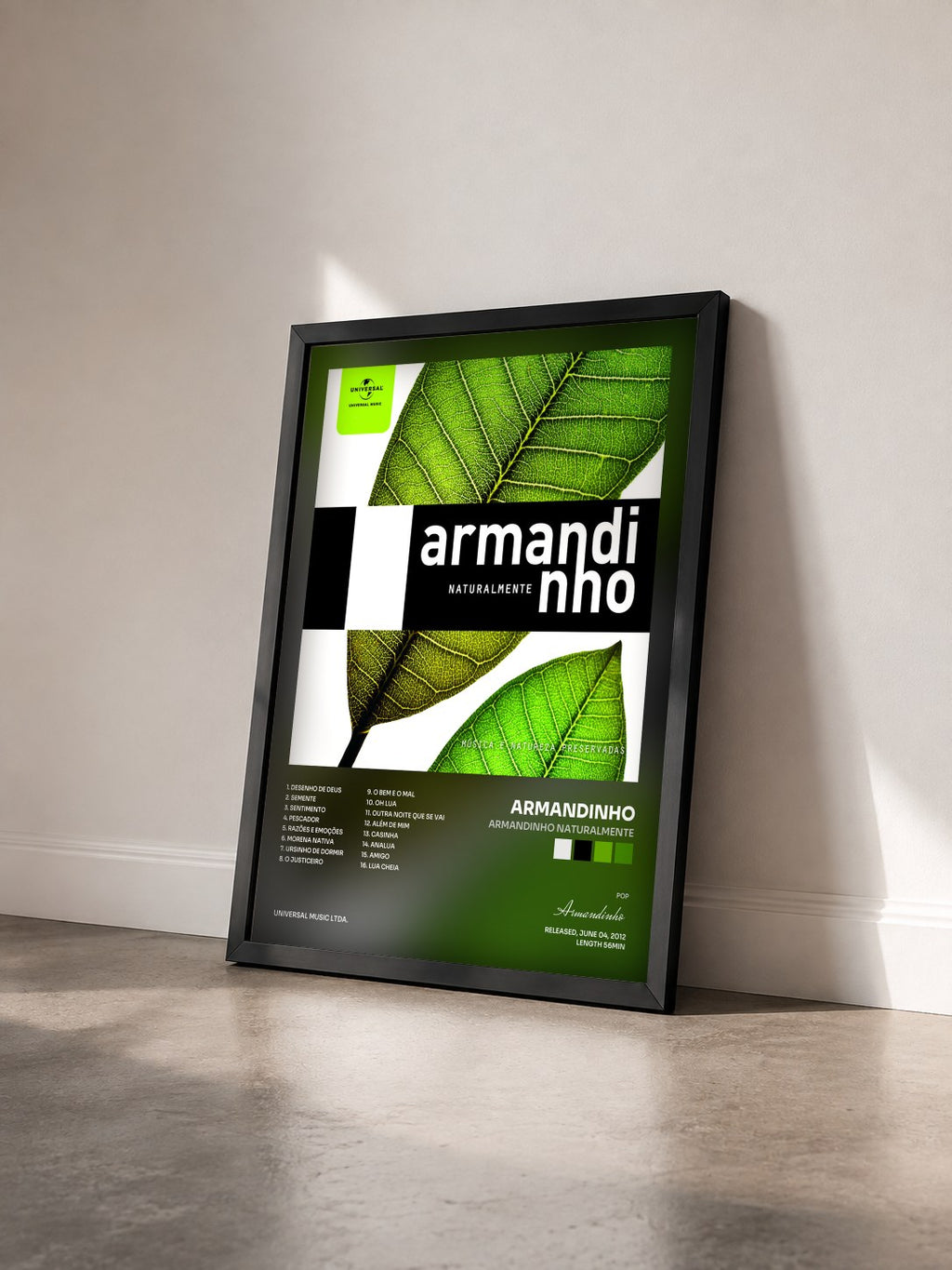 #noir Tableau de l'album Armandinho Naturalmente de Armandinho vu de trois quarts, cadre noir