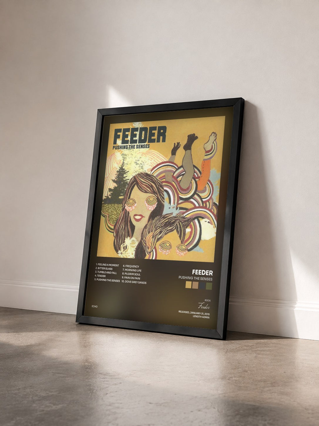 #noir Tableau de l'album Pushing the Senses de Feeder vu de trois quarts, cadre noir