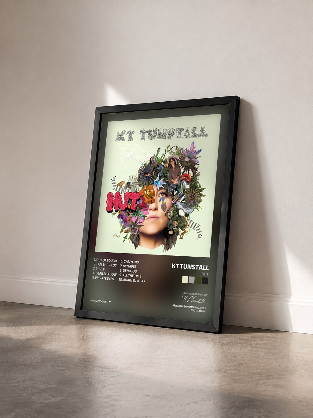 #noir Tableau de l'album NUT de KT Tunstall vu de trois quarts, cadre noir