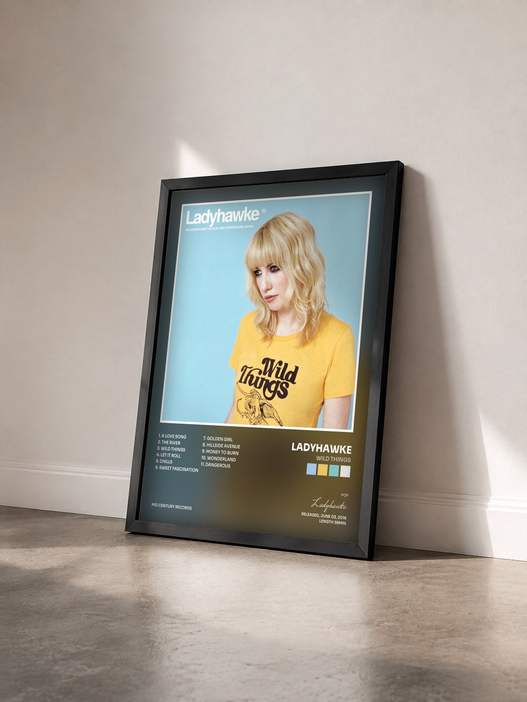 #noir Tableau de l'album Wild Things de Ladyhawke vu de trois quarts, cadre noir