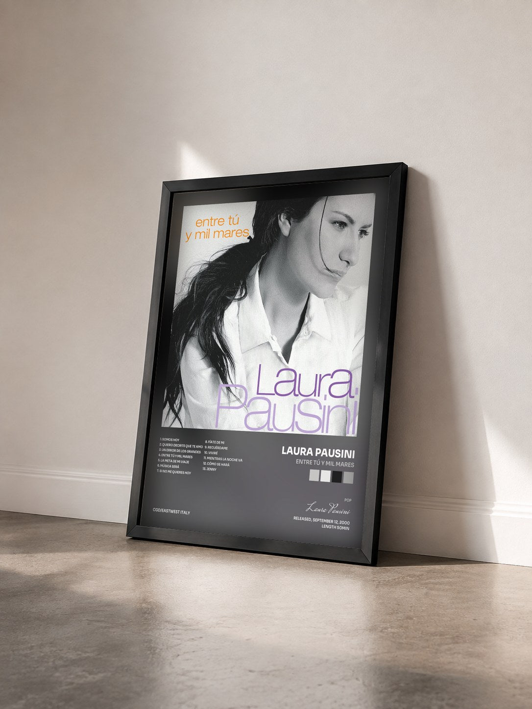 #noir Tableau de l'album Entre tú y mil mares de Laura Pausini vu de trois quarts, cadre noir