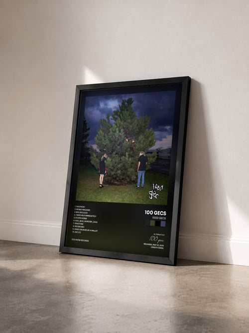 #noir Tableau de l'album 1000 gecs de 100 gecs vu de trois quarts, cadre noir