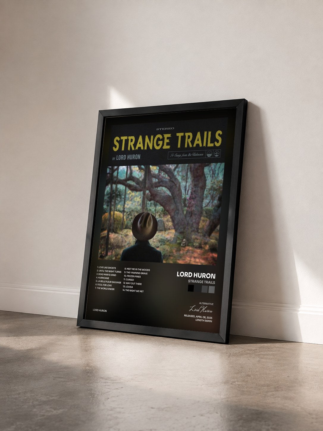 #noir Tableau de l'album Strange Trails de Lord Huron vu de trois quarts, cadre noir
