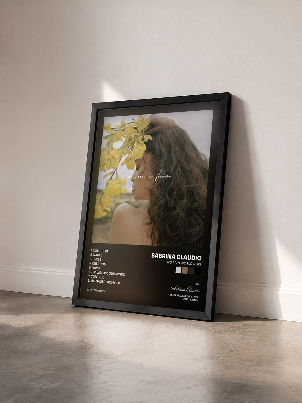 #noir Tableau de l'album No Rain, No Flowers de Sabrina Claudio vu de trois quarts, cadre noir