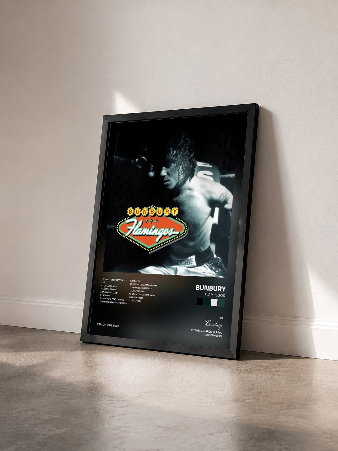 #noir Tableau de l'album Flamingos de Bunbury vu de trois quarts, cadre noir