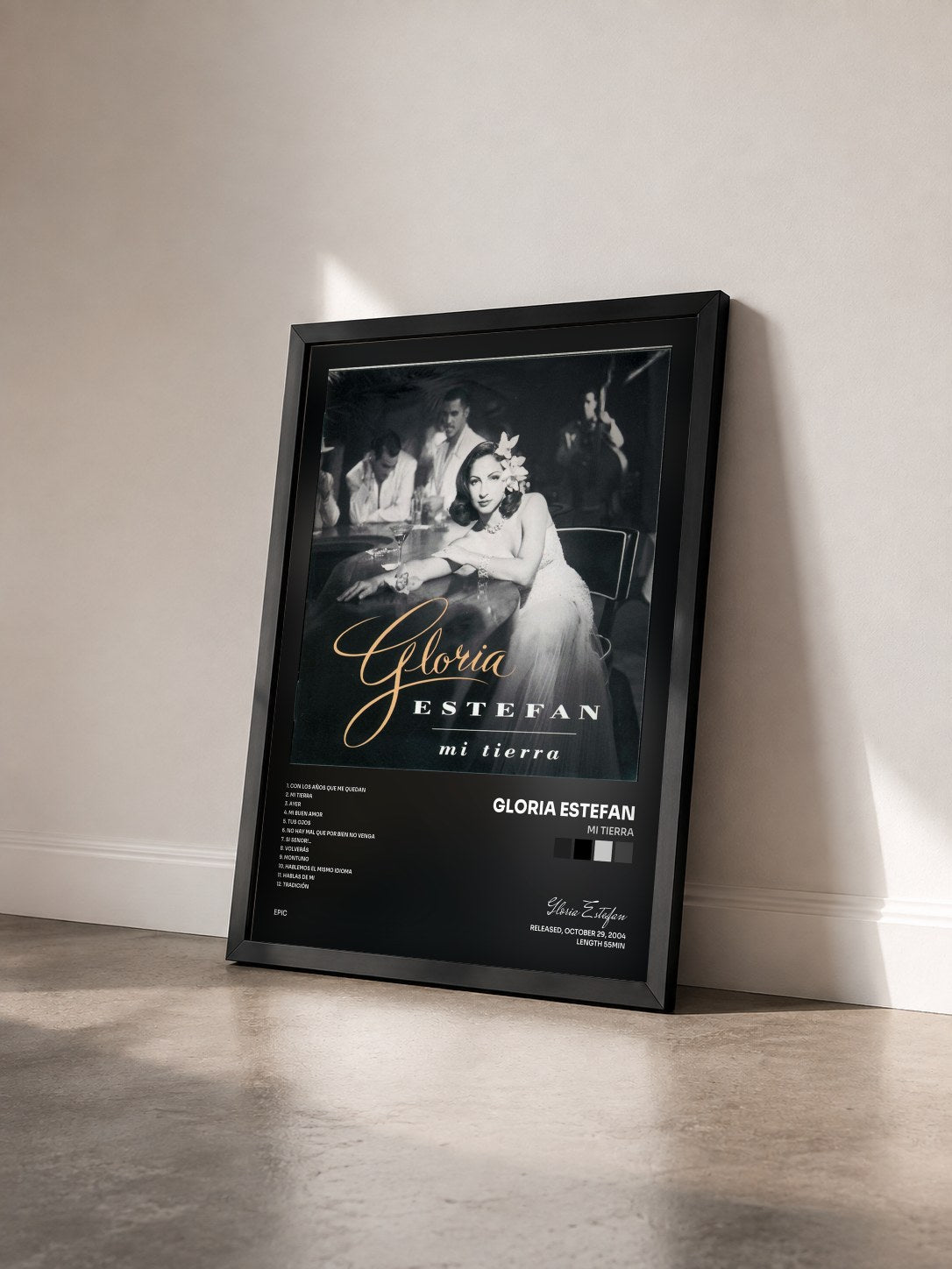 #noir Tableau de l'album Mi Tierra de Gloria Estefan vu de trois quarts, cadre noir