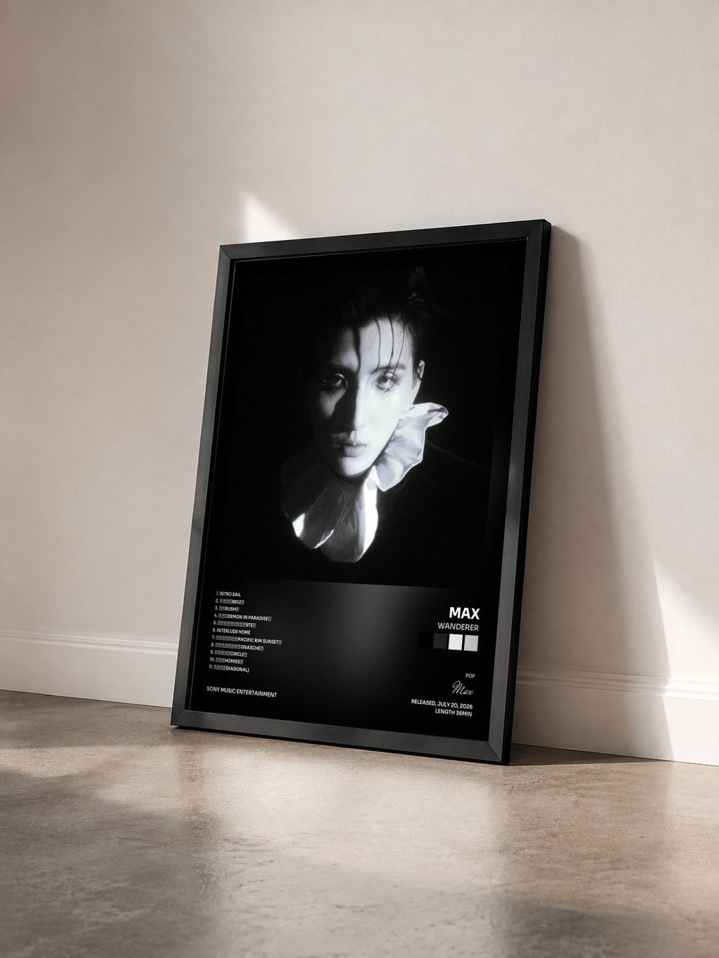 #noir Tableau de l'album Wanderer de Max vu de trois quarts, cadre noir
