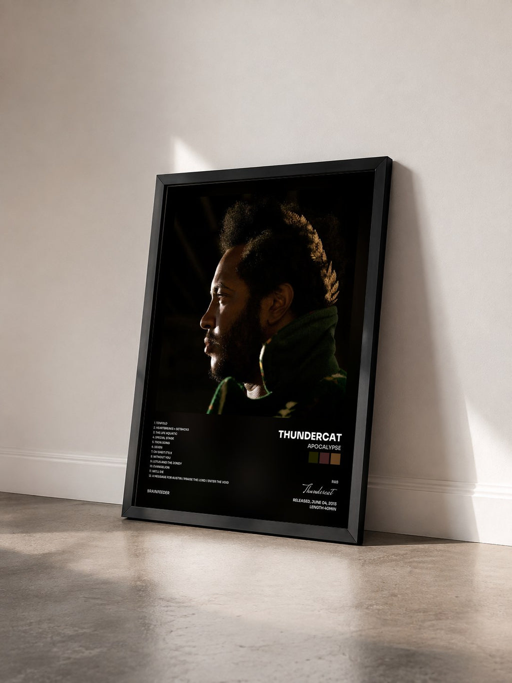 #noir Tableau de l'album Apocalypse de Thundercat vu de trois quarts, cadre noir