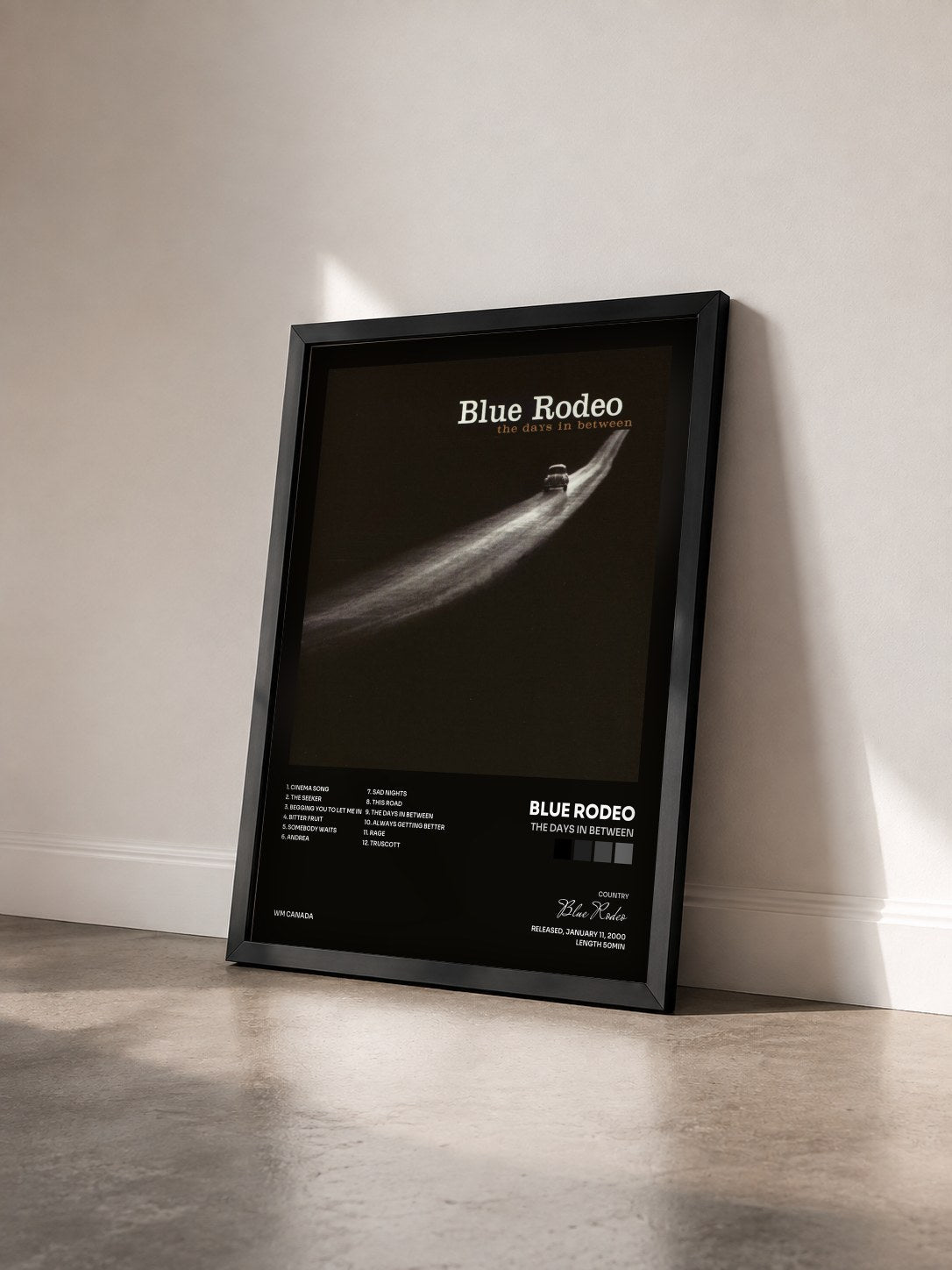 #noir Tableau de l'album The Days in Between de Blue Rodeo vu de trois quarts, cadre noir
