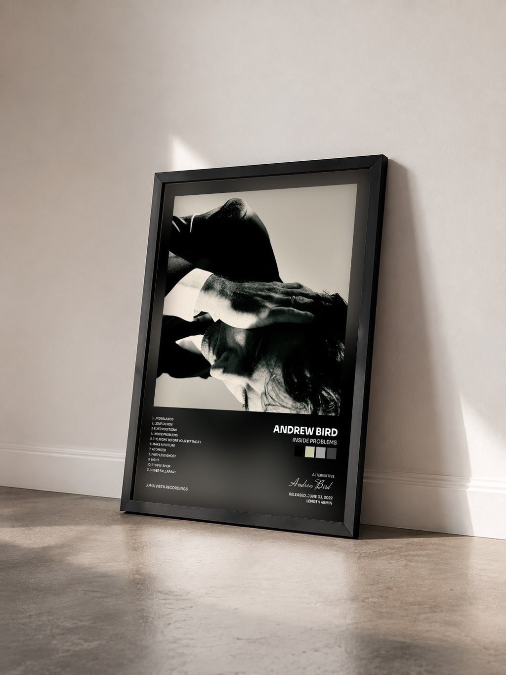 #noir Tableau de l'album Inside Problems de Andrew Bird vu de trois quarts, cadre noir