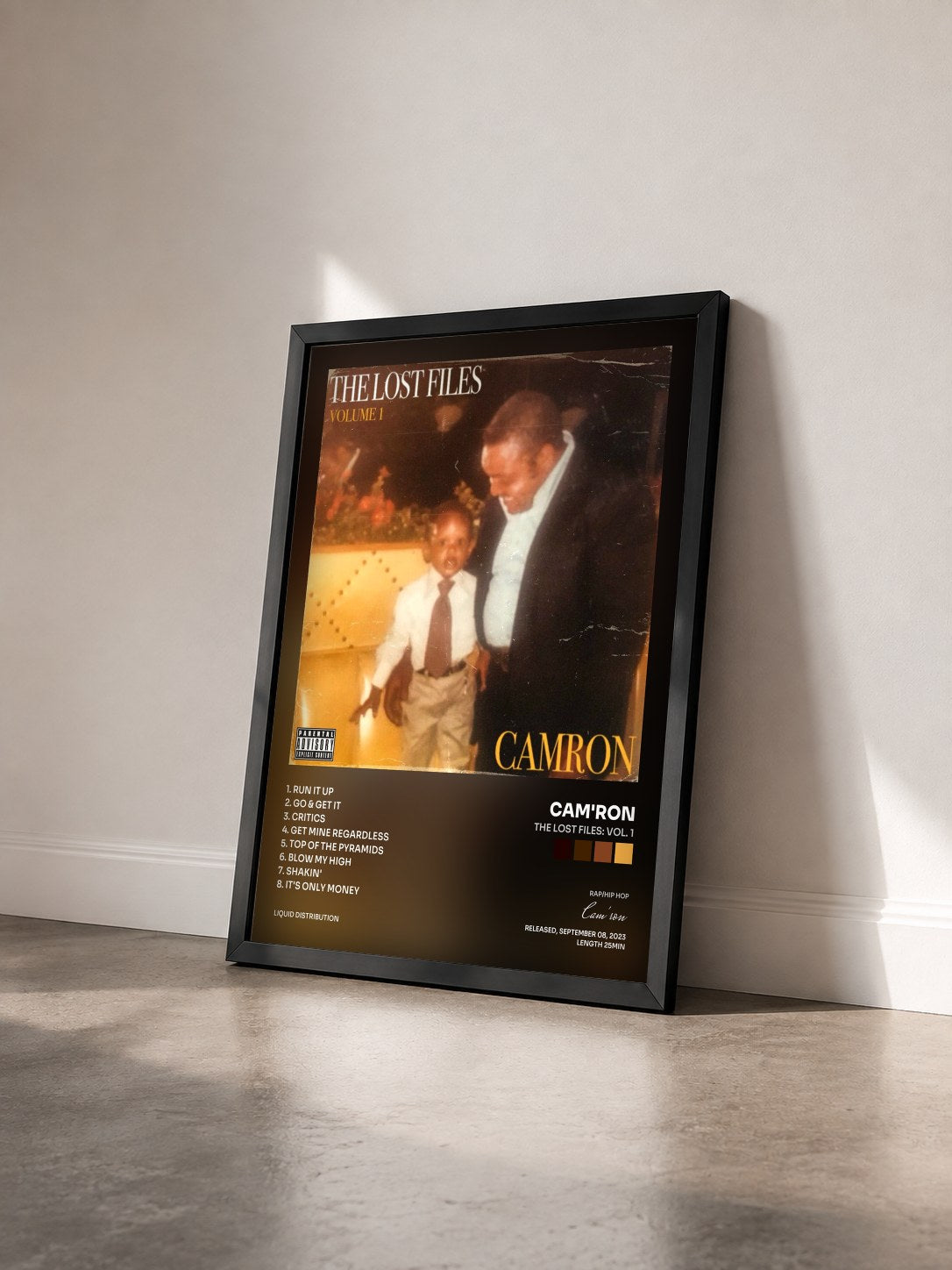 #noir Tableau de l'album The Lost Files: Vol. 1 de Cam'ron vu de trois quarts, cadre noir