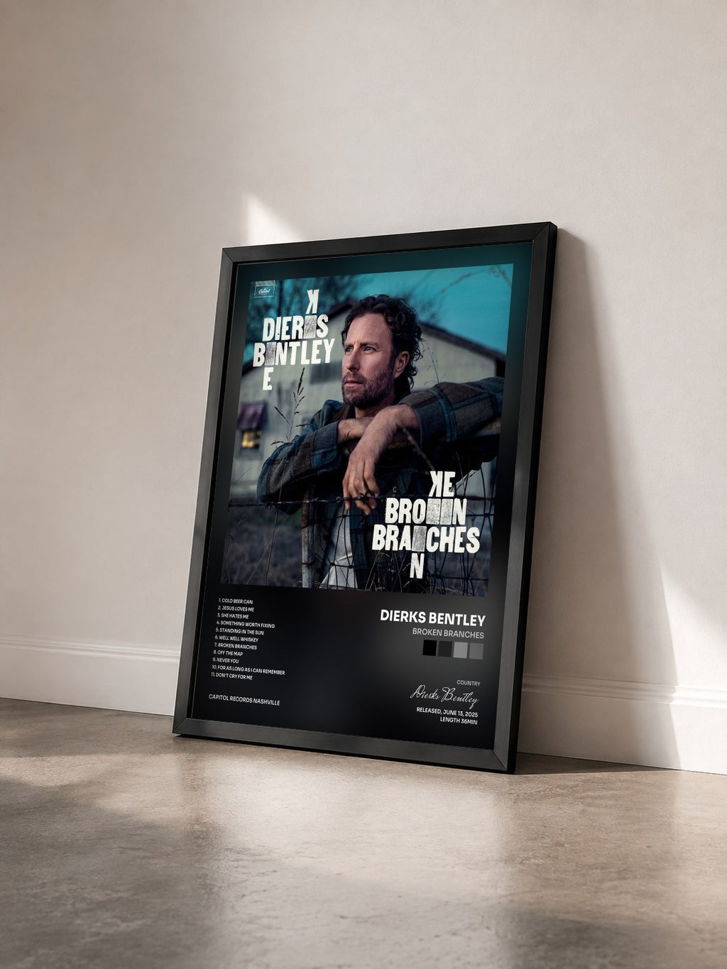 #noir Tableau de l'album Broken Branches de Dierks Bentley vu de trois quarts, cadre noir