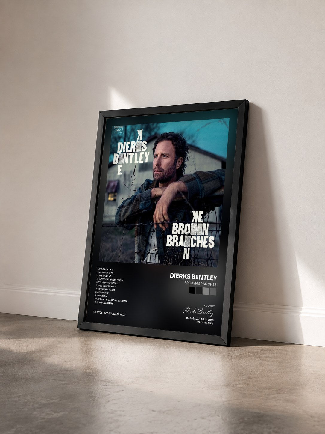 #noir Tableau de l'album Broken Branches de Dierks Bentley vu de trois quarts, cadre noir