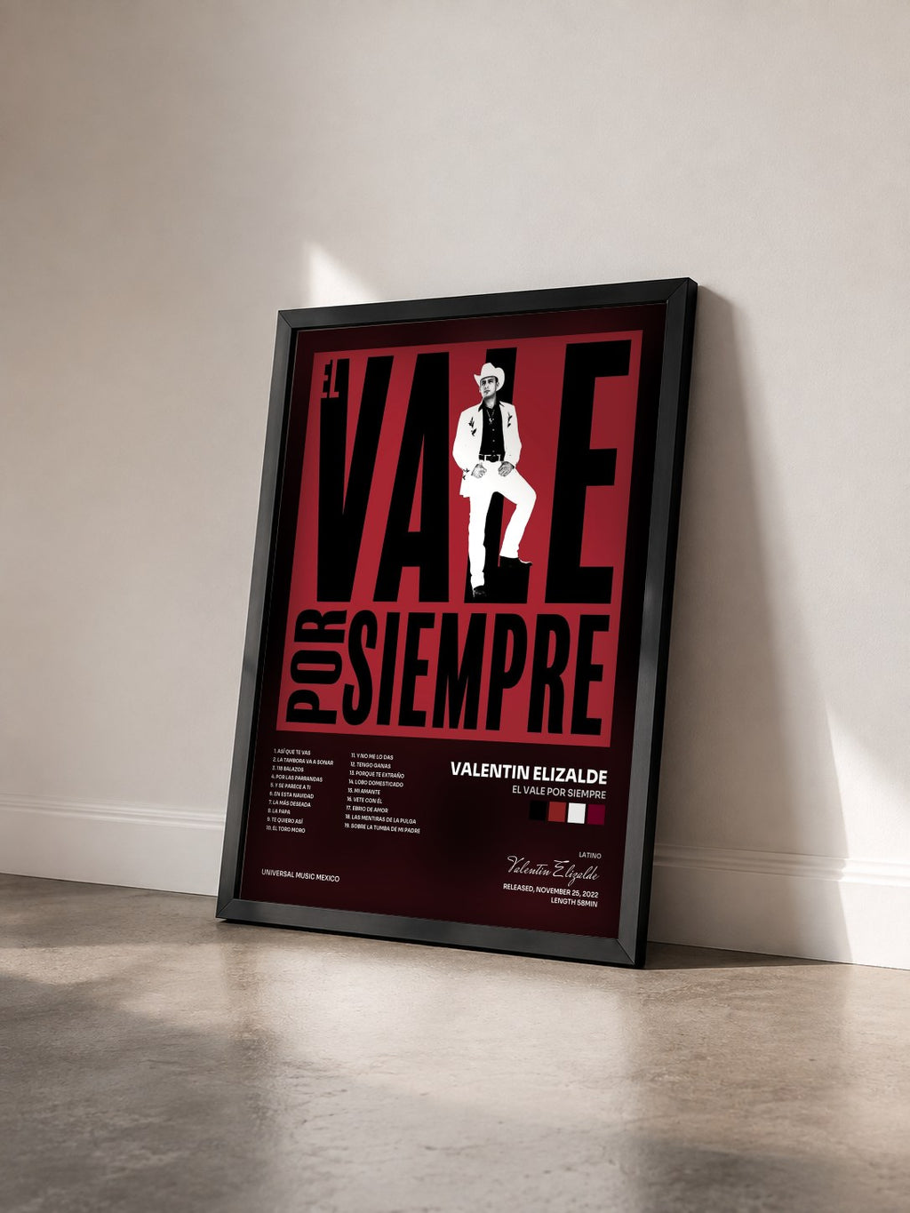 #noir Tableau de l'album El Vale Por Siempre de Valentin Elizalde vu de trois quarts, cadre noir