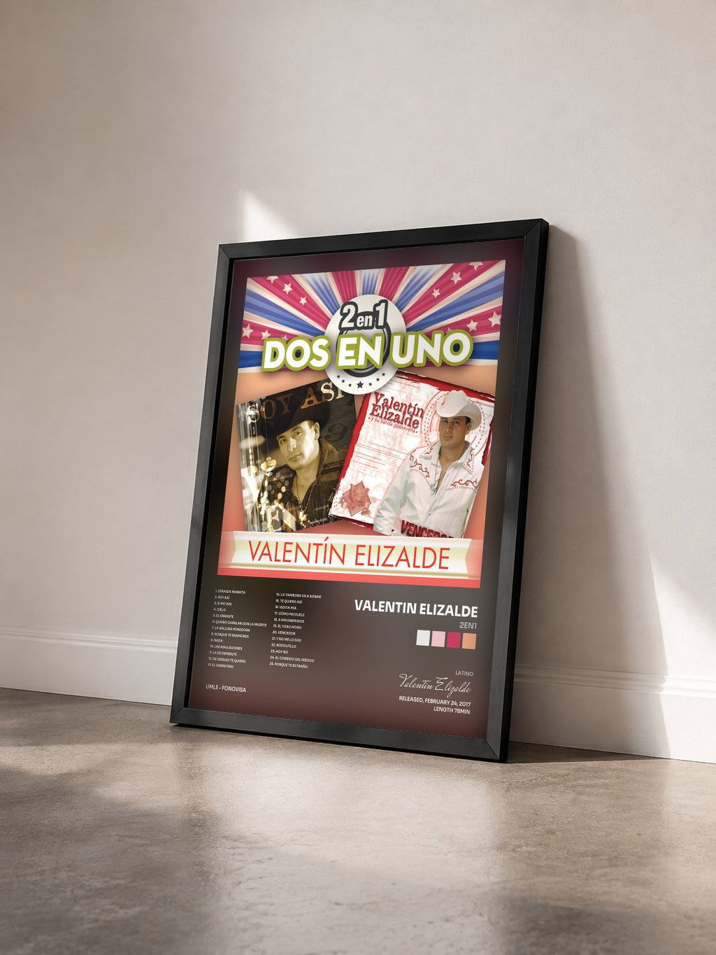 #noir Tableau de l'album 2En1 de Valentin Elizalde vu de trois quarts, cadre noir