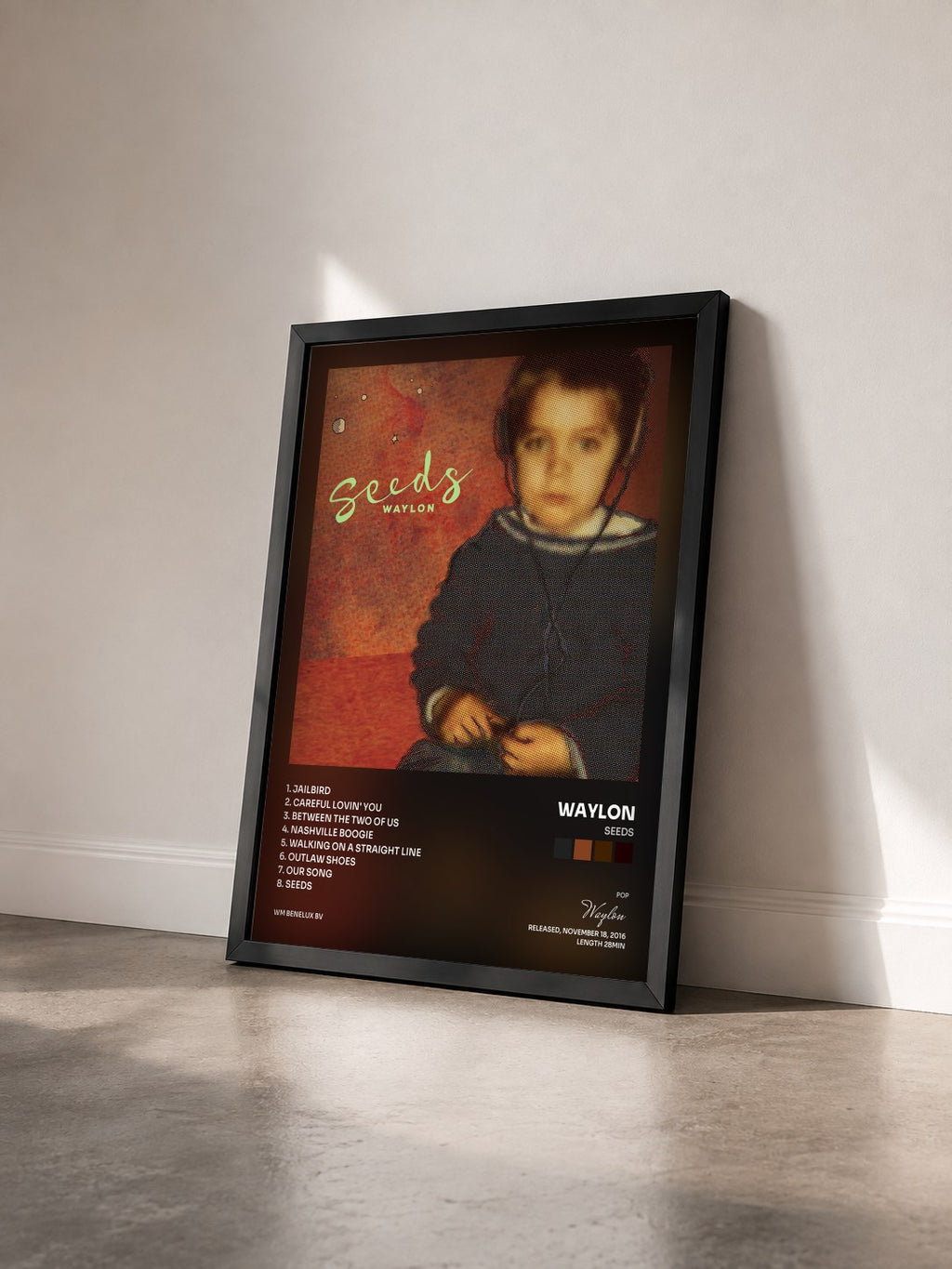 #noir Tableau de l'album Seeds de Waylon vu de trois quarts, cadre noir