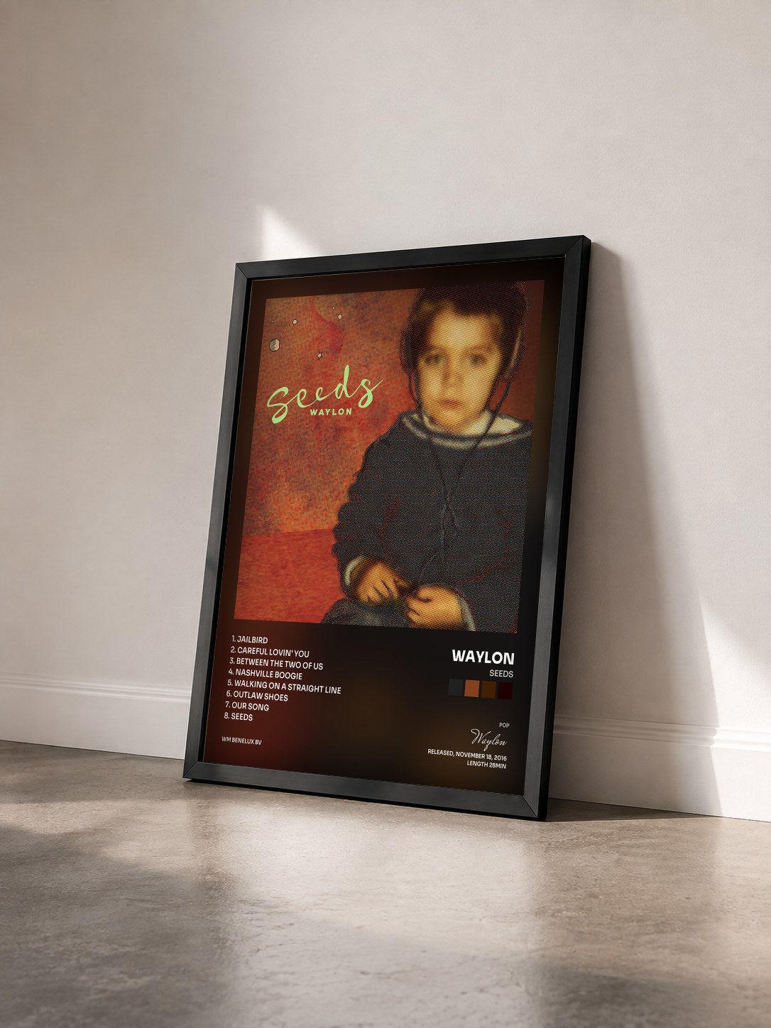 #noir Tableau de l'album Seeds de Waylon vu de trois quarts, cadre noir