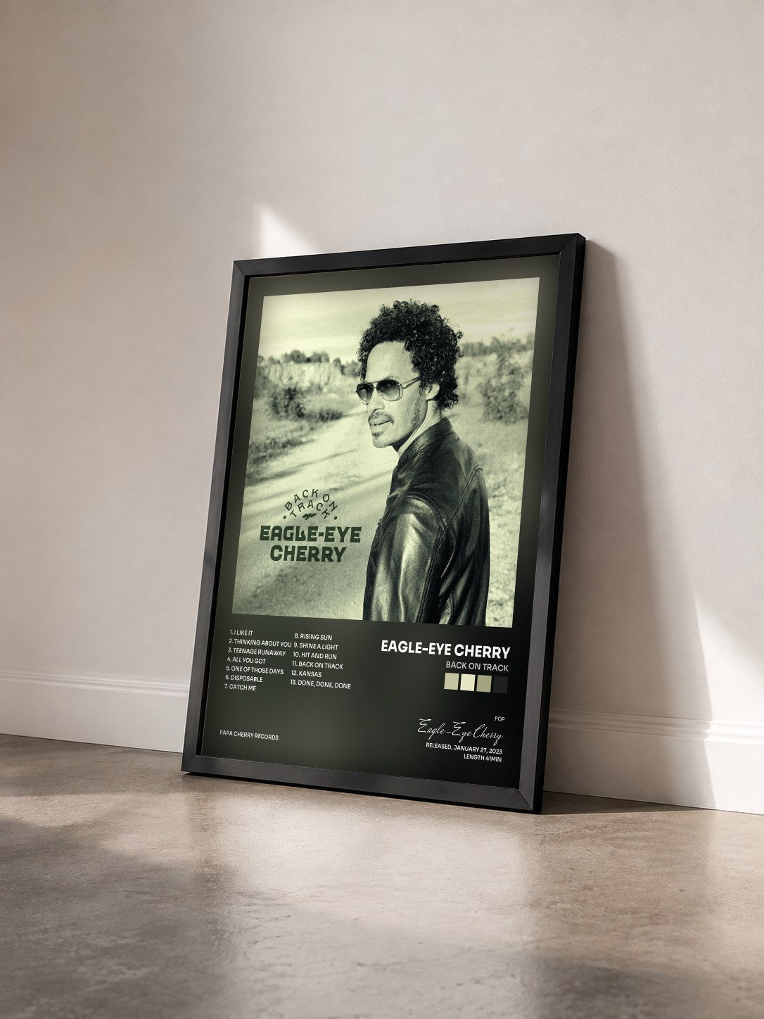 #noir Tableau de l'album Back on Track de Eagle-Eye Cherry vu de trois quarts, cadre noir