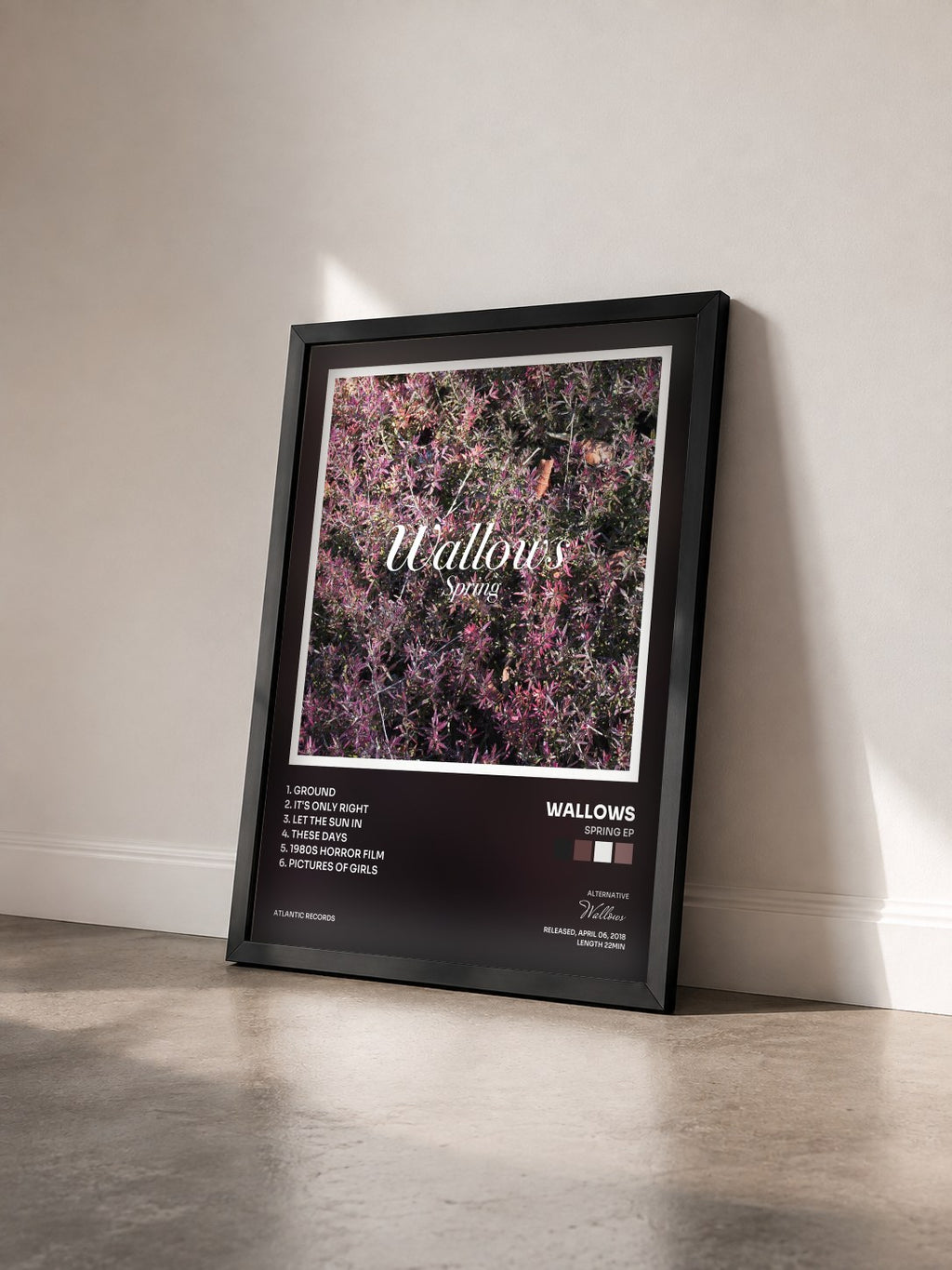 #noir Tableau de l'album Spring EP de Wallows vu de trois quarts, cadre noir