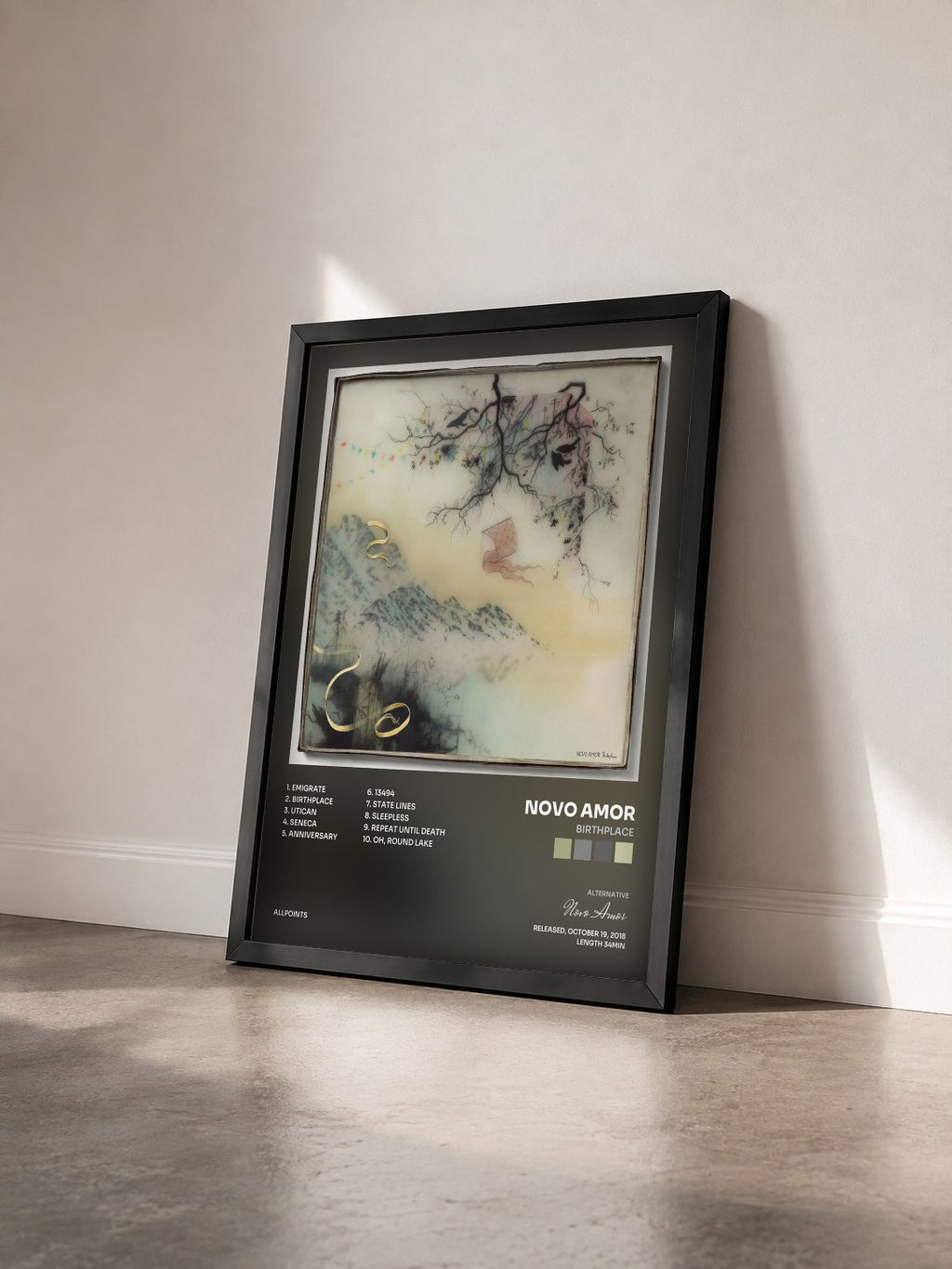 #noir Tableau de l'album Birthplace de Novo Amor vu de trois quarts, cadre noir