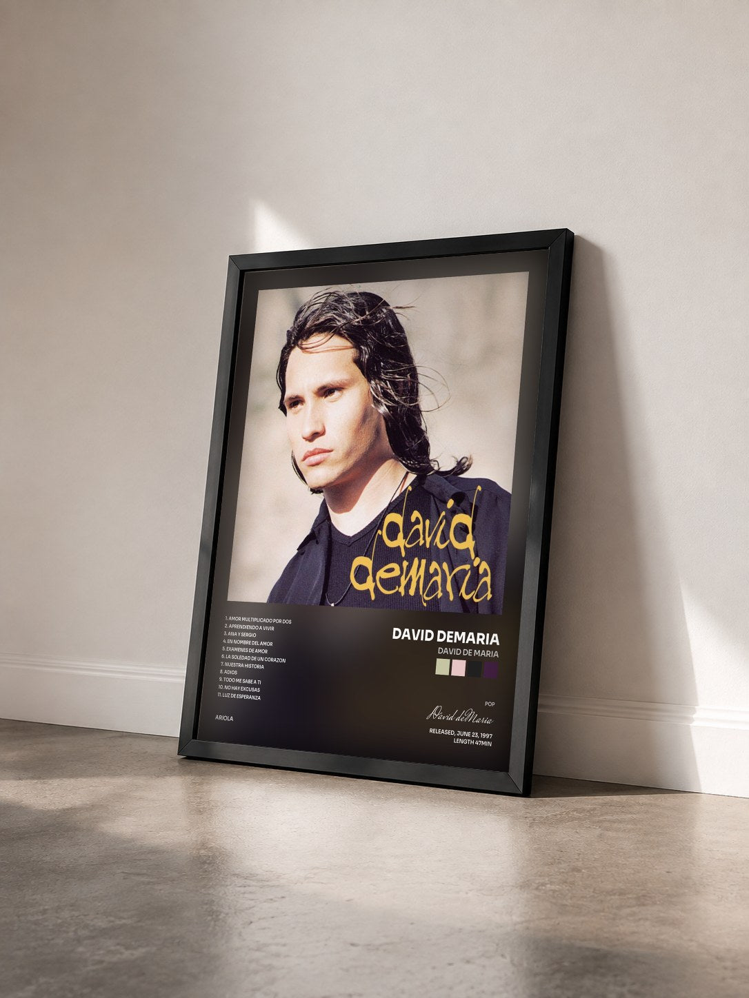 #noir Tableau de l'album David De Maria de David deMaria vu de trois quarts, cadre noir