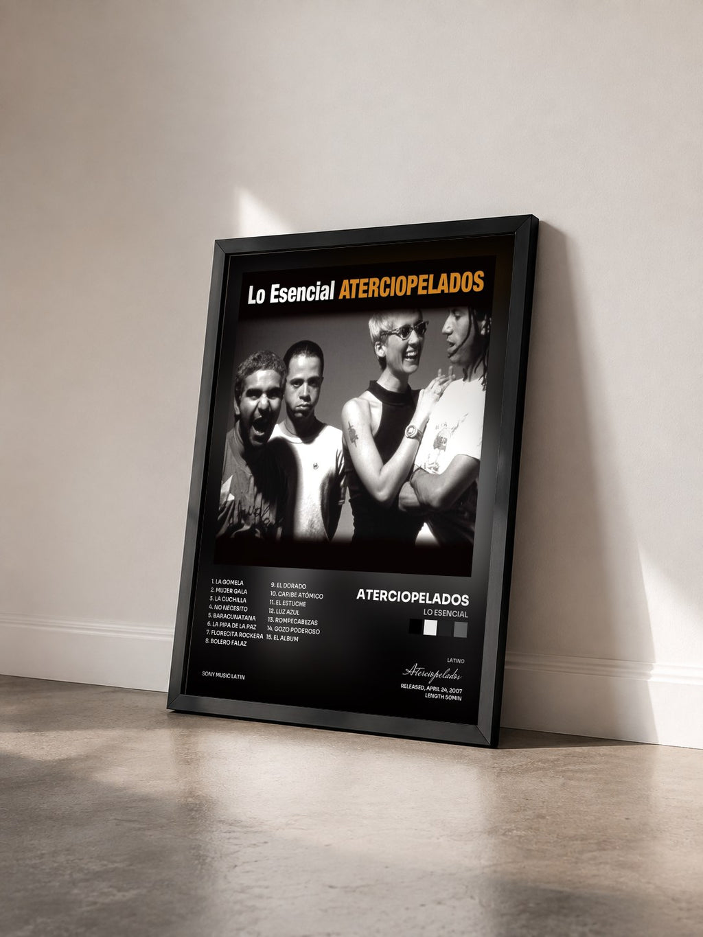 #noir Tableau de l'album Lo Esencial de Aterciopelados vu de trois quarts, cadre noir