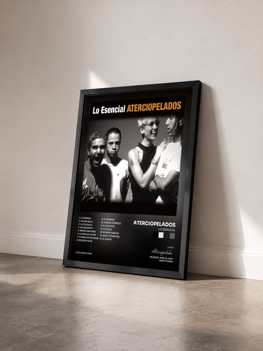 #noir Tableau de l'album Lo Esencial de Aterciopelados vu de trois quarts, cadre noir