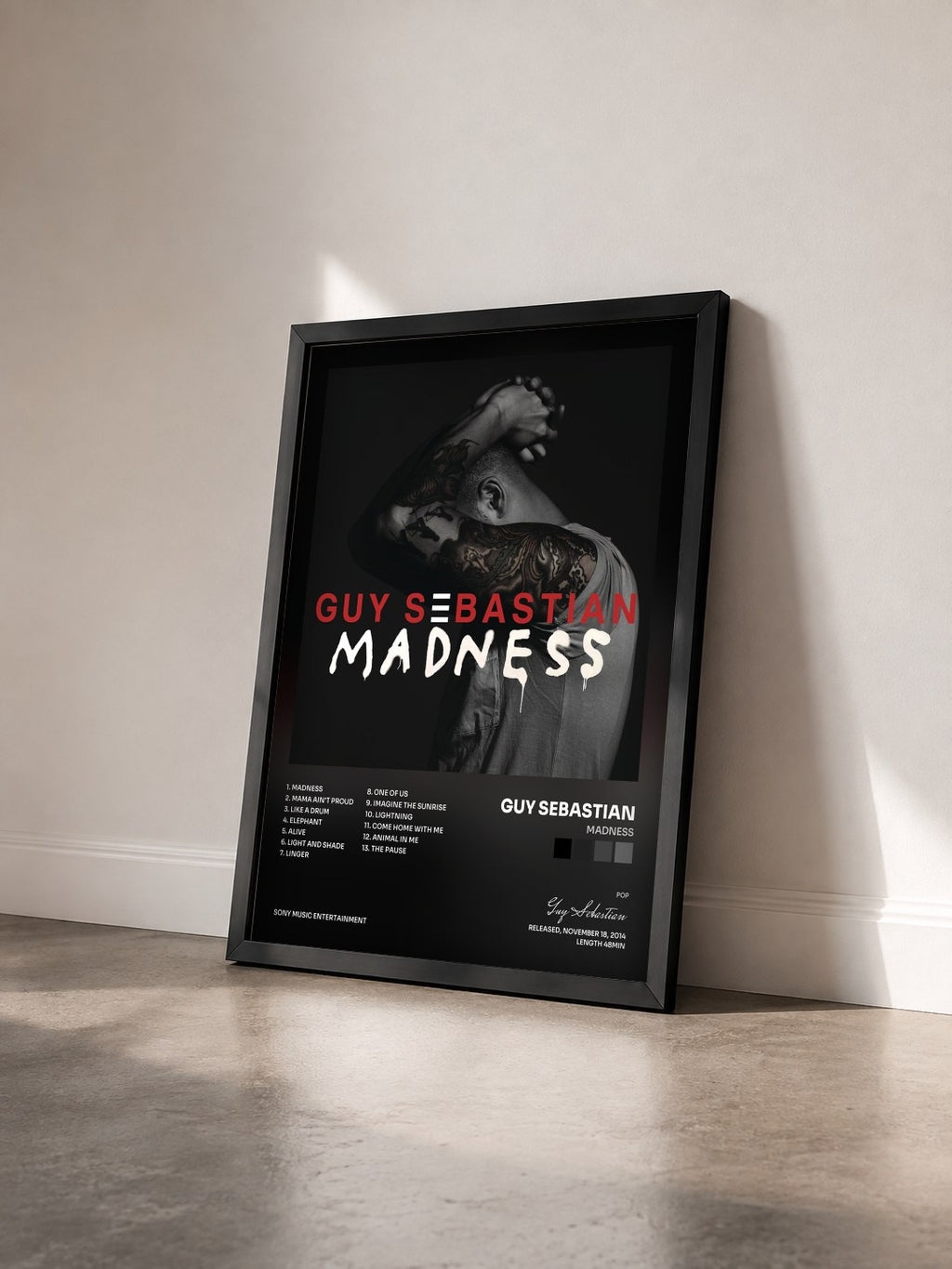 #noir Tableau de l'album Madness de Guy Sebastian vu de trois quarts, cadre noir