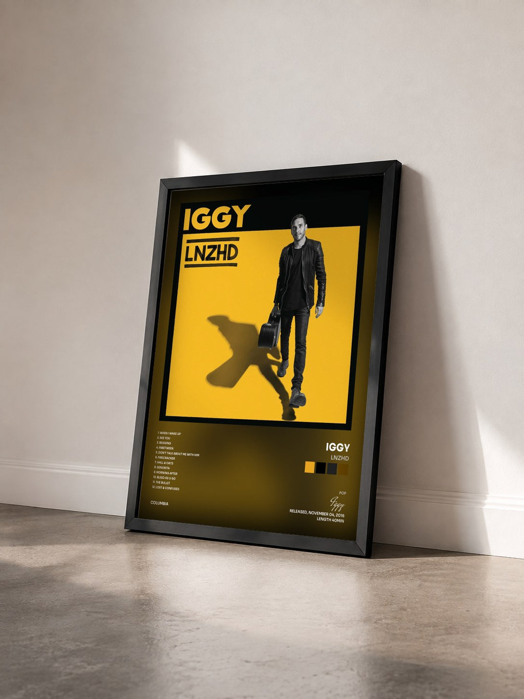 #noir Tableau de l'album LNZHD de Iggy vu de trois quarts, cadre noir