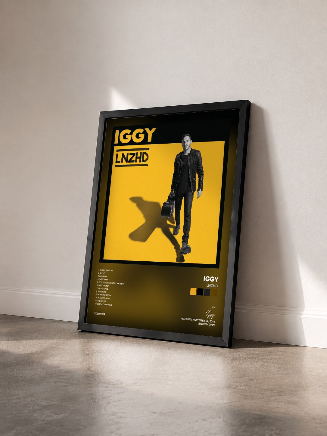 #noir Tableau de l'album LNZHD de Iggy vu de trois quarts, cadre noir