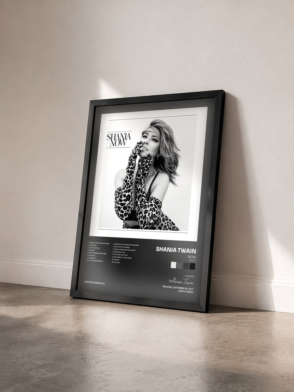 #noir Tableau de l'album Now (Deluxe) de Shania Twain vu de trois quarts, cadre noir
