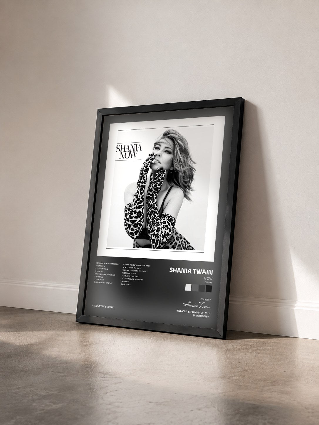 #noir Tableau de l'album Now (Deluxe) de Shania Twain vu de trois quarts, cadre noir